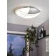 Eglo - Стенна Лампа за таван 1x E27/60W сребърна / бяла
