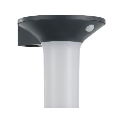 Eglo - LED Екстериорна соларна лампа със сензор 6xLED/0,03W/3,7V IP44