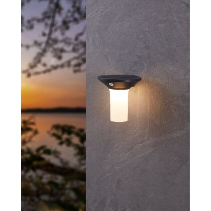 Eglo - LED Екстериорна соларна лампа със сензор 6xLED/0,03W/3,7V IP44