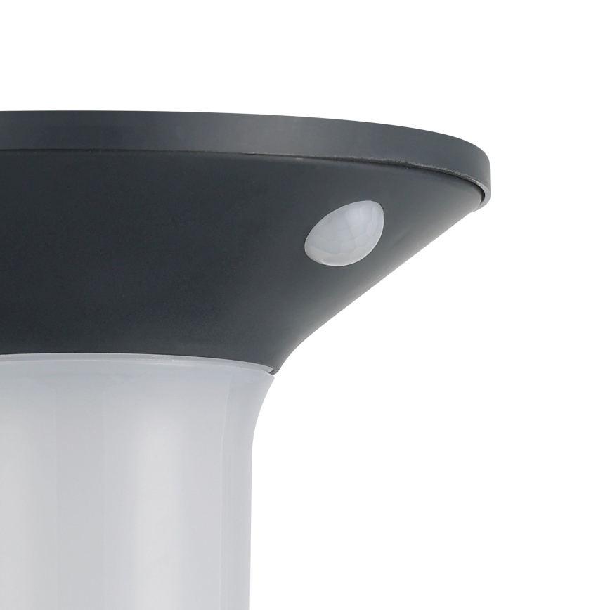 Eglo - LED Екстериорна соларна лампа със сензор 6xLED/0,03W/3,7V IP44