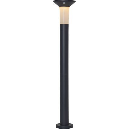 Eglo - LED Екстериорна соларна лампа със сензор 6xLED/0,03W/3,7V 1500 mAh IP44