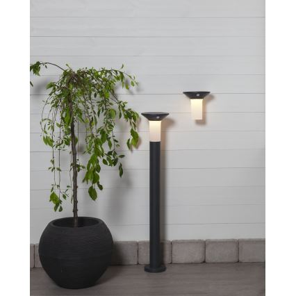 Eglo - LED Екстериорна соларна лампа със сензор 6xLED/0,03W/3,7V 1500 mAh IP44