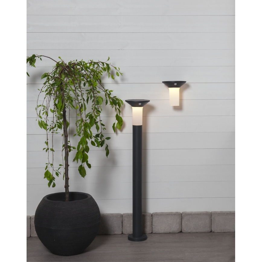 Eglo - LED Екстериорна соларна лампа със сензор 6xLED/0,03W/3,7V 1500 mAh IP44