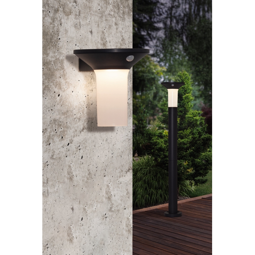 Eglo - LED Екстериорна соларна лампа със сензор 6xLED/0,03W/3,7V 1500 mAh IP44