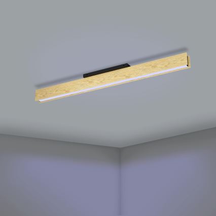 Eglo - LED RGBW Димируем плафон LED/35W/230V 2700-6500K