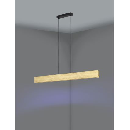 Eglo - LED RGBW Димируем пендел LED/35W/230V 2700-6500K