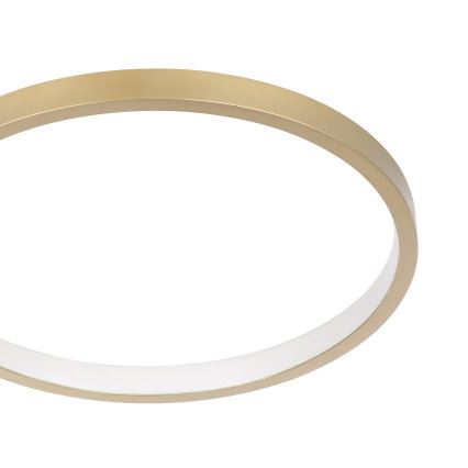 Eglo - LED Димируем плафон LED/15W/230V златист + дистанционно