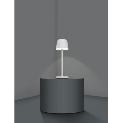 Eglo - LED регулируема външна презареждаща се лампа LED/2,2W/5V 1800 mAh сива IP54