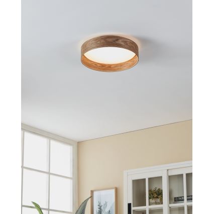 Eglo - LED Плафон LED/24W/230V