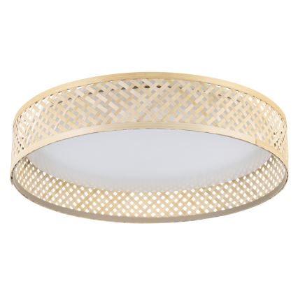 Eglo - LED Плафон LED/24W/230V