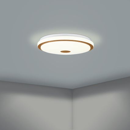 Eglo - LED Димируем плафон LED/24W/230V + дистанционно