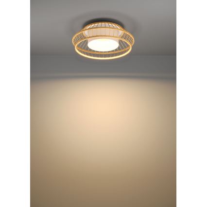 Eglo - LED RGBW Димируем плафон LED/22W/230V 2700-6500K