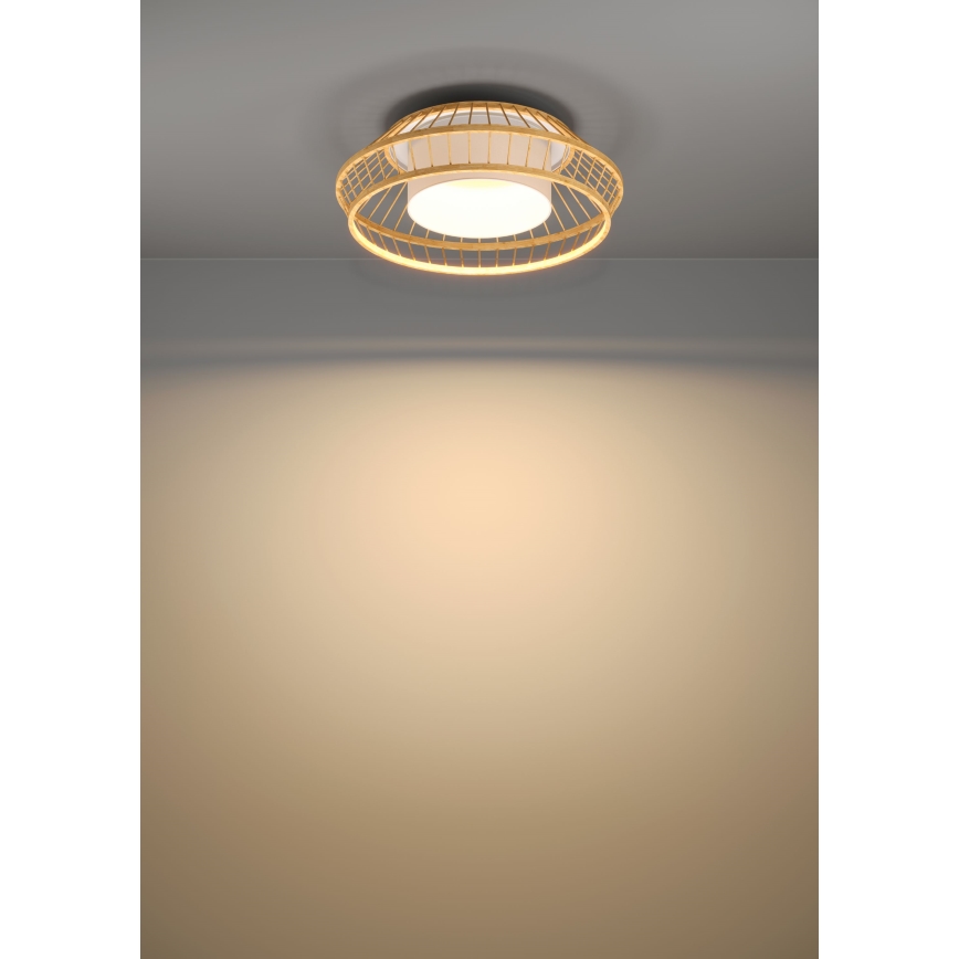 Eglo - LED RGBW Димируем плафон LED/22W/230V 2700-6500K