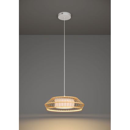 Eglo - LED RGBW Димируем пендел LED/22W/230V 2700-6500K