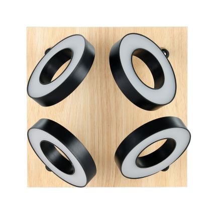 Eglo - LED точково осветително тяло 4xLED/4,2W/230V черно/кафяво