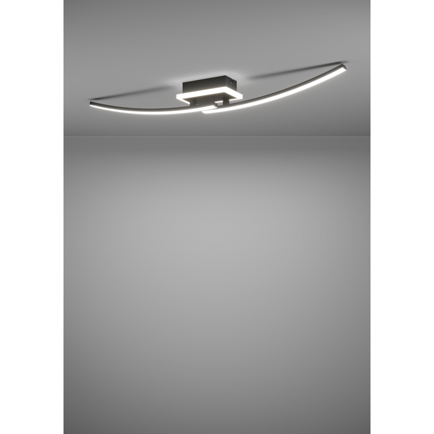 Eglo - LED Плафониера LED/12W/230V 4000K черен