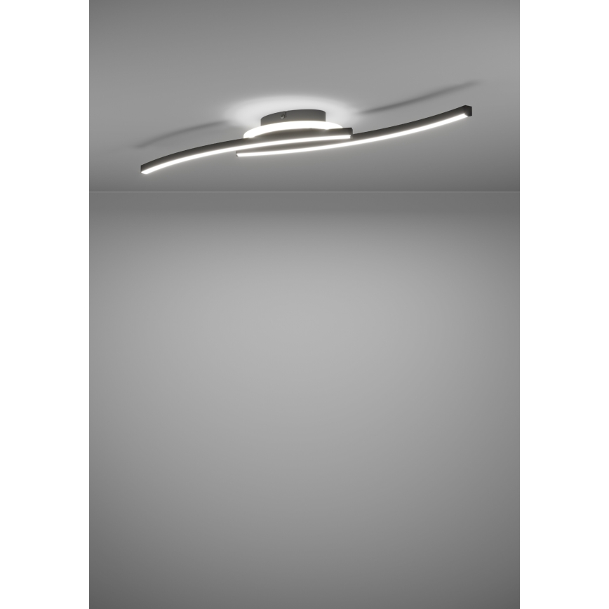 Eglo - LED Плафониера LED/12W/230V 4000K черен