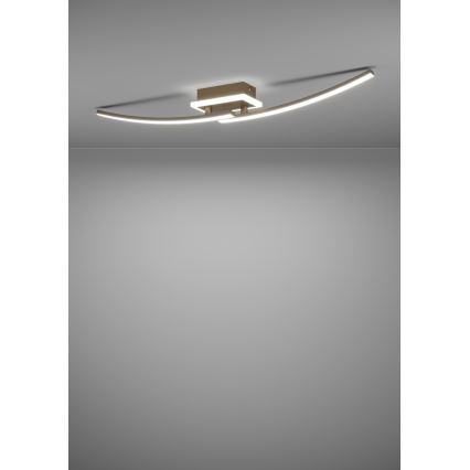 Eglo - LED Плафониера LED/12W/230V 4000K меден