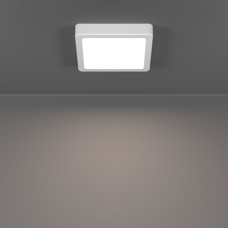 Eglo - LED таванен плафон LED/7W/230V 2700/4000/6500K 15x15 cm бял