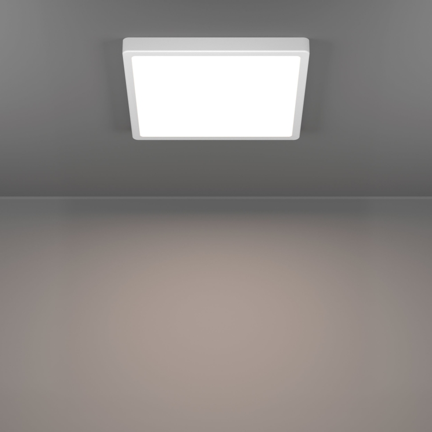 Eglo - LED плафон LED/13W/230V 2700/4000/6500K 29x29 cm бял