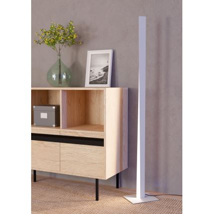 Eglo - LED RGBW торшер с функция за димиране LED/10,5W/230V + LED/15,2W сив