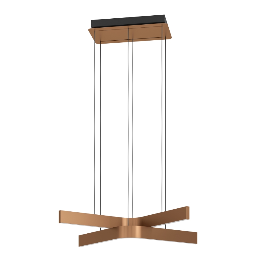 Eglo - LED RGBW полилей на кабел с възможност за димиране 2xLED/18W/230V медно/черно