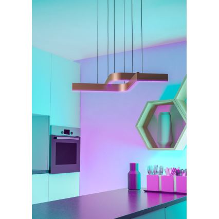 Eglo - LED RGBW полилей на кабел с възможност за димиране 2xLED/18W/230V медно/черно