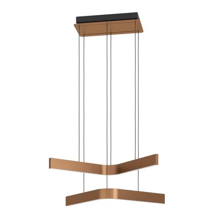 Eglo - LED RGBW полилей на кабел с възможност за димиране 2xLED/18W/230V медно/черно