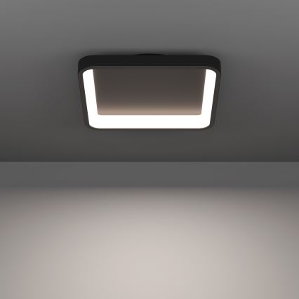 Eglo - LED RGBW димируемо таванно осветително тяло LED/20W/230V 2700-6500K 35x35 см черно