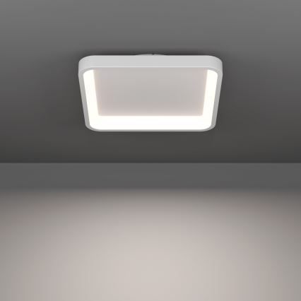 Eglo - LED RGBW таванно осветително тяло с регулируема яркост LED/20W/230V 2700-6500K 35x35 см бяло