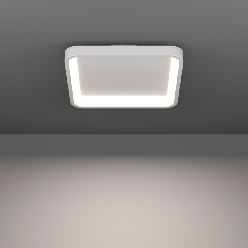 Eglo - LED RGBW таванно осветително тяло с регулируема яркост LED/20W/230V 2700-6500K 35x35 см бяло