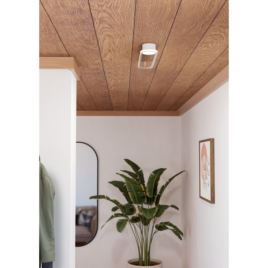 Eglo - LED таванно осветително тяло LED/24W/230V 2700/4000/6500K бяло