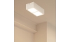 Eglo 95201 - LED лампа за таван COLEGIO 2xLED/4,2W/230V