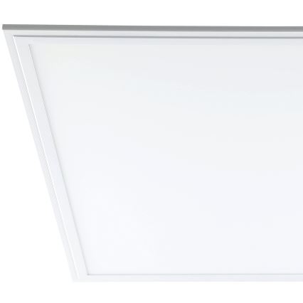 Eglo - LED Таванна Панел LED/40W/230V