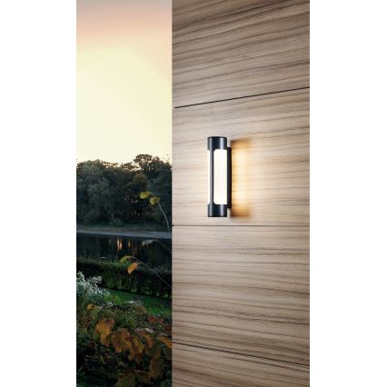 Eglo - външна LED лампа за стена 2xLED/6W/230V IP44