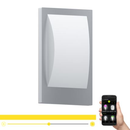 Eglo 97239 - LED димируемо външно осветително тяло VERRES-C 1xE27/9W/230V IP44 матов хром