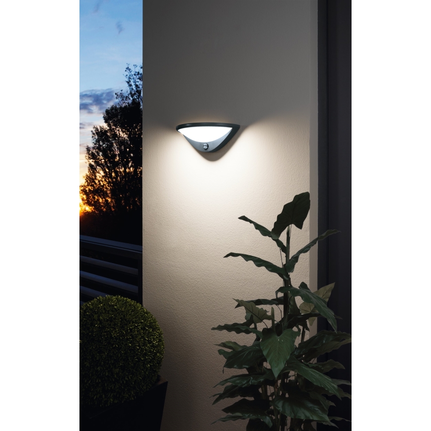 Eglo 97312 - LED Екстериорен аплик със сензор BELCREDA LED/9,3W/230V IP44