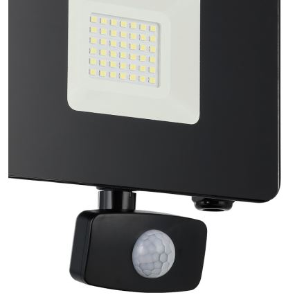 Eglo - LED Рефлектор със сензор LED/30W/230V IP44