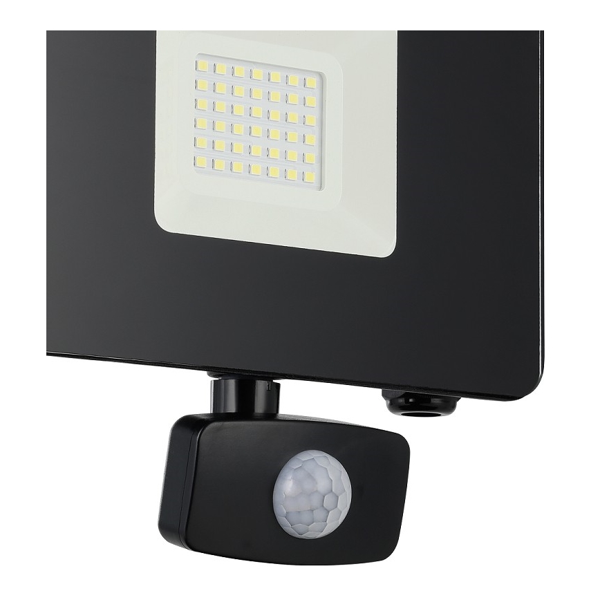 Eglo - LED Рефлектор със сензор LED/30W/230V IP44