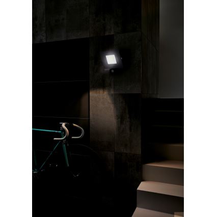 Eglo - LED Рефлектор със сензор LED/50W/230V IP44