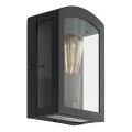 Eglo 97478 - Екстериорна Стенна лампа PARETTA 1xE27/60W/230V черна IP44