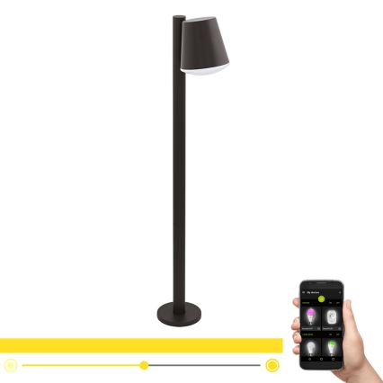Eglo - LED RGB Димируем екстериорен лампа CALDIERO-C 1xE27/9W/230V антрацит IP44