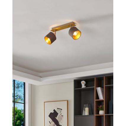 Eglo - Точково осветително тяло 2xE14/10W/230V