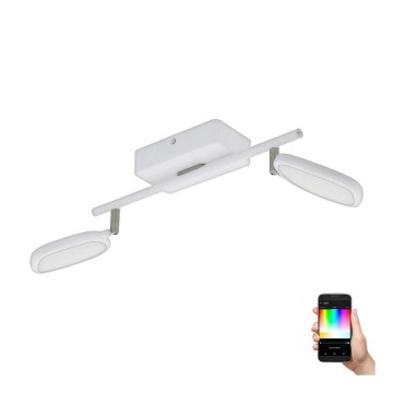 Eglo 97692 - LED Спот PALOMBARE-C 2xLED/5W/230V