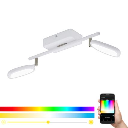 Eglo 97692 - LED Спот PALOMBARE-C 2xLED/5W/230V