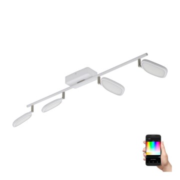 Eglo 97694 - LED Спот PALOMBARE-C 4xLED/5W/230V