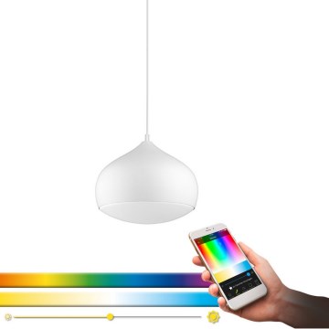 Eglo 98047 - LED RGBW полилей на кабел COMBA-C с възможност за димиране LED/18W/230V