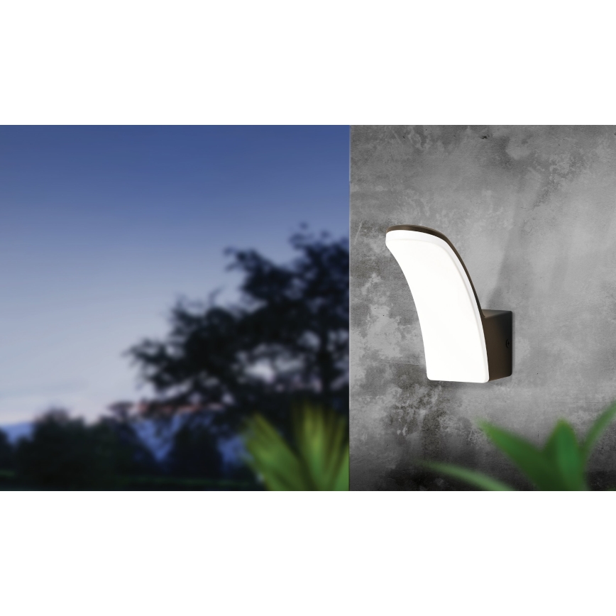 Eglo - Екстериорен LED аплик LED/11W/230V IP44