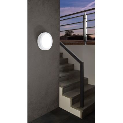 Eglo - LED Димируема екстериорна лампа ARGOLIS-C LED/16,5W/230V IP44