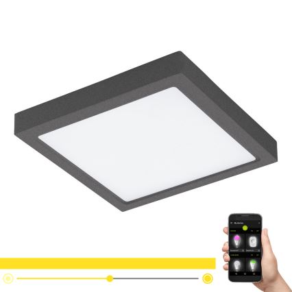 Eglo - LED регулируемо външно осветително тяло ARGOLIS-C LED/22W/230V IP44 Bluetooth